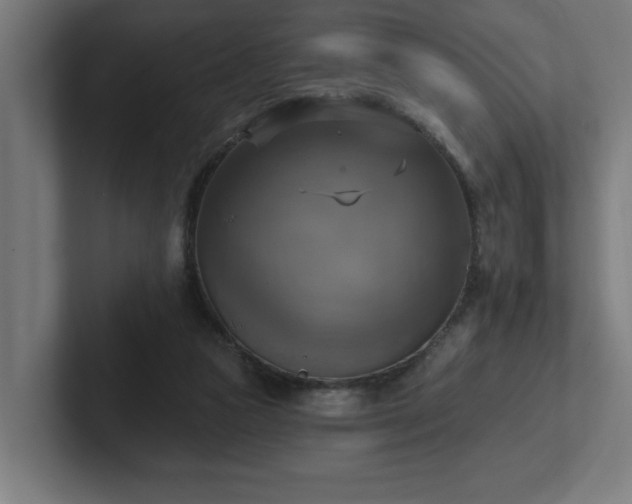 X0000102410161200808011615