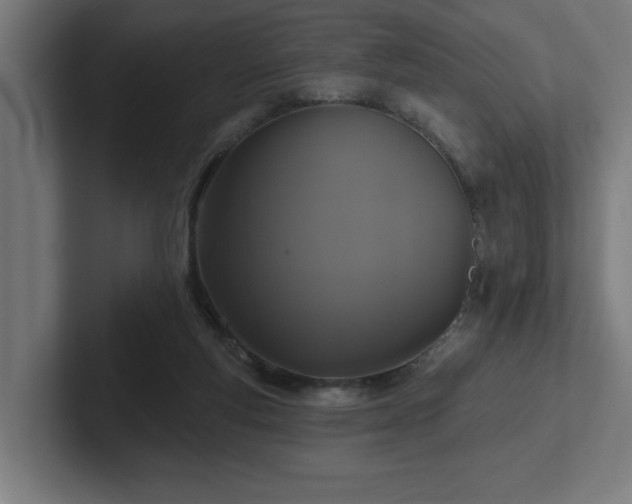 X0000102410163200808011615