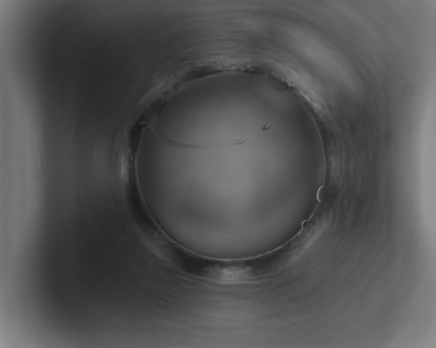 X0000102410165200808011615