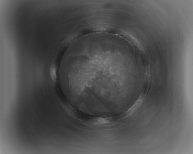 X0000102410166200808011615