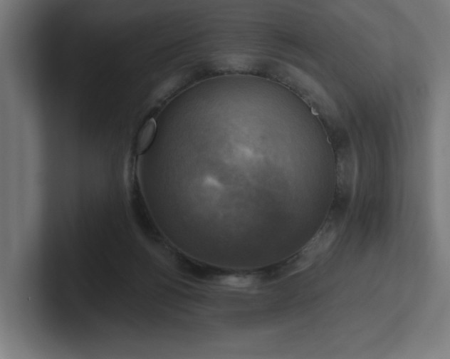 X0000102410168200808011615