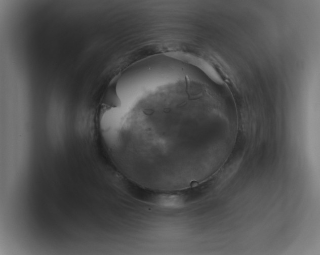 X0000102410169200808011615