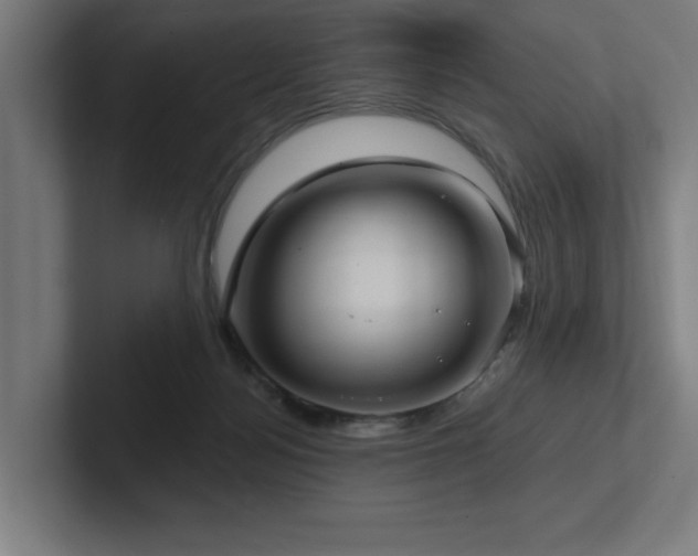 X0000102410172200808011615