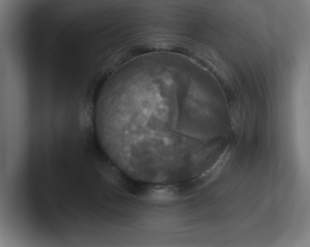 X0000102410175200808011615