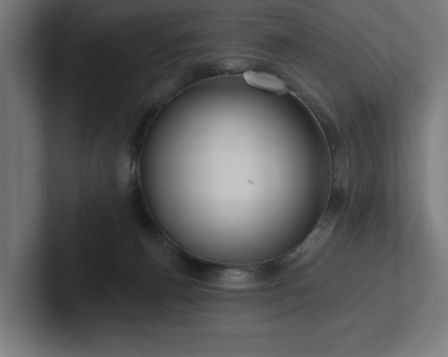 X0000102410176200808011615