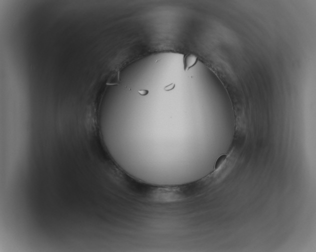 X0000102410179200808011615