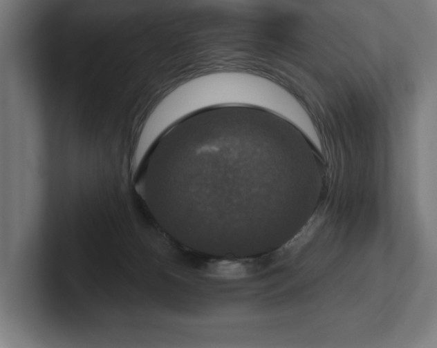 X0000102410180200808011615