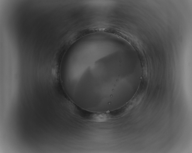 X0000102410181200808011615