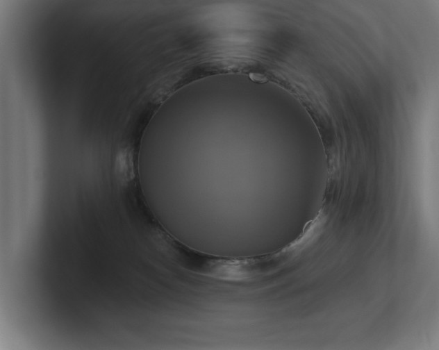 X0000102410182200808011615