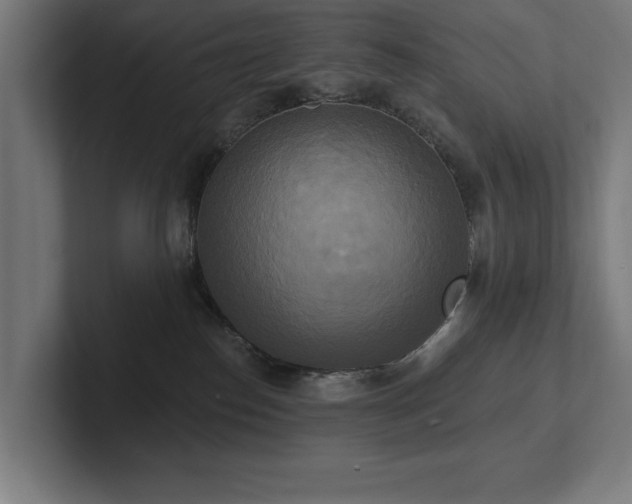 X0000102410186200808011615