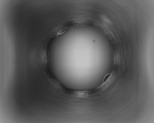 X0000102410187200808011615