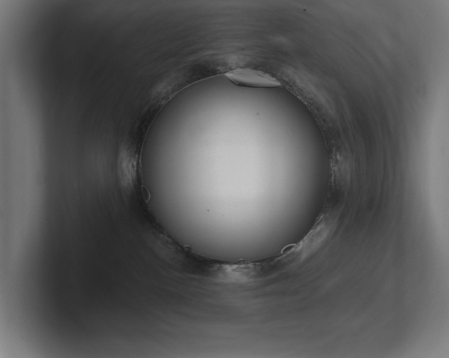 X0000102410188200808011615