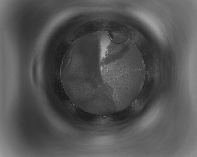 X0000102410189200808011615