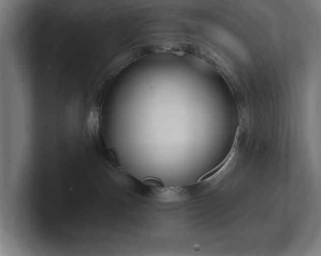 X0000102410191200808011615