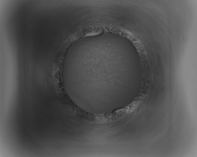 X0000102410192200808011615