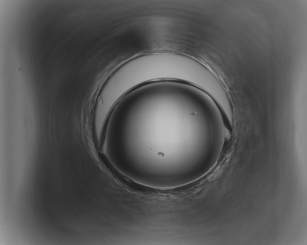 X0000102410193200808011615