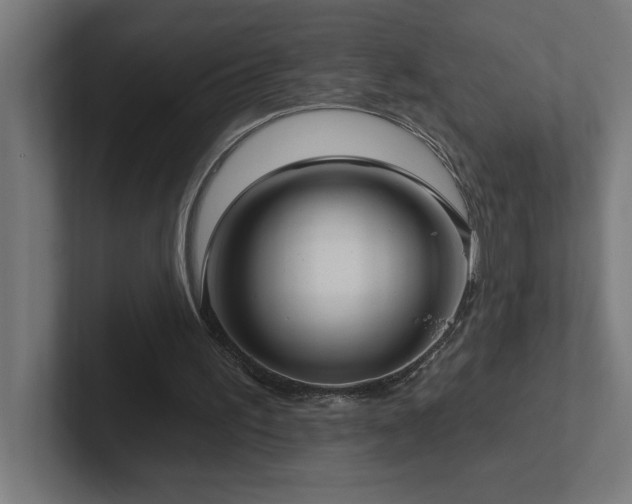 X0000102410195200808011615