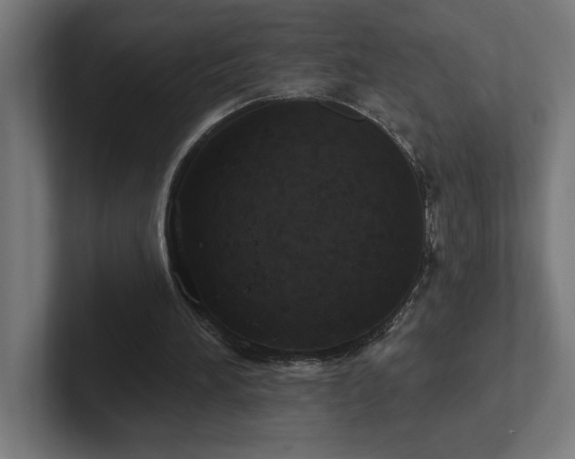 X0000102410196200808011615