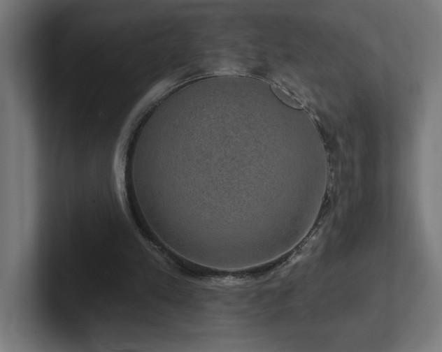 X0000102410197200808011615