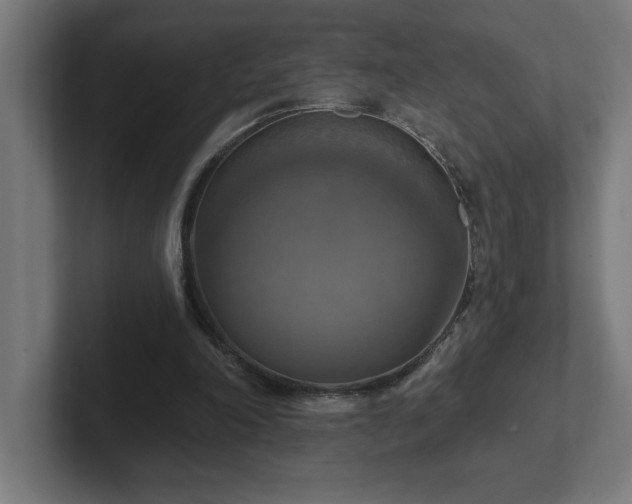 X0000102410198200808011615