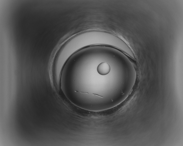 X0000102410199200808011615