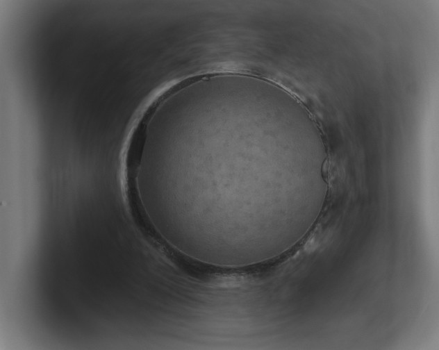 X0000102410200200808011615