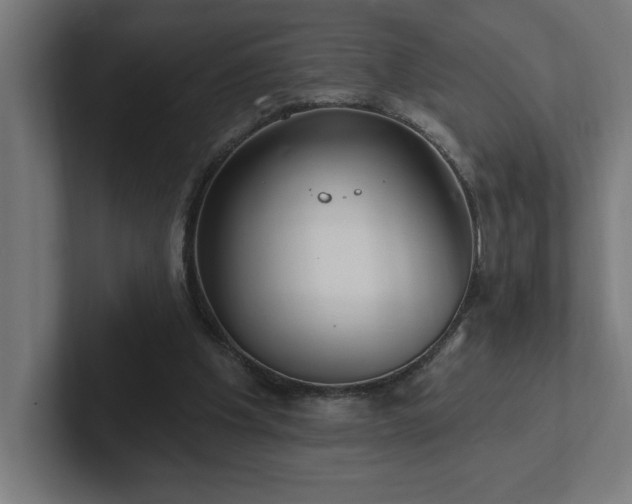 X0000102410201200808011615