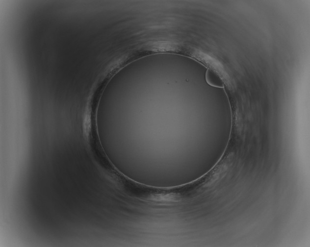 X0000102410202200808011615