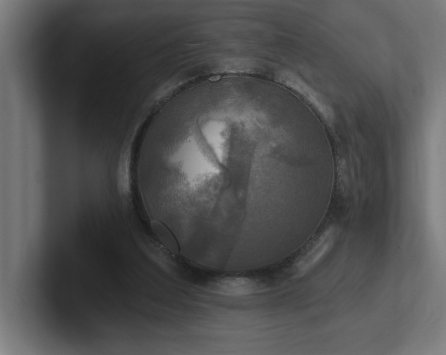 X0000102410203200808011615