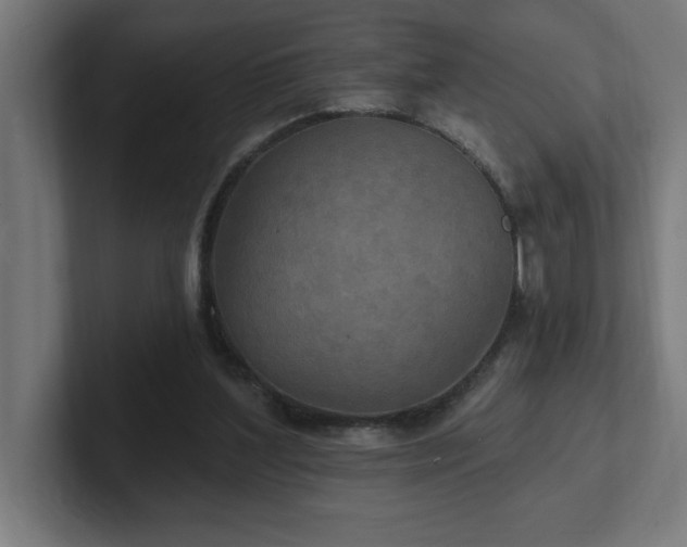 X0000102410204200808011615