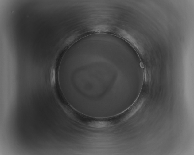 X0000102410205200808011615