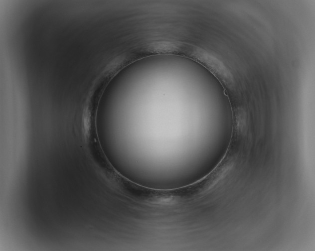 X0000102410206200808011615