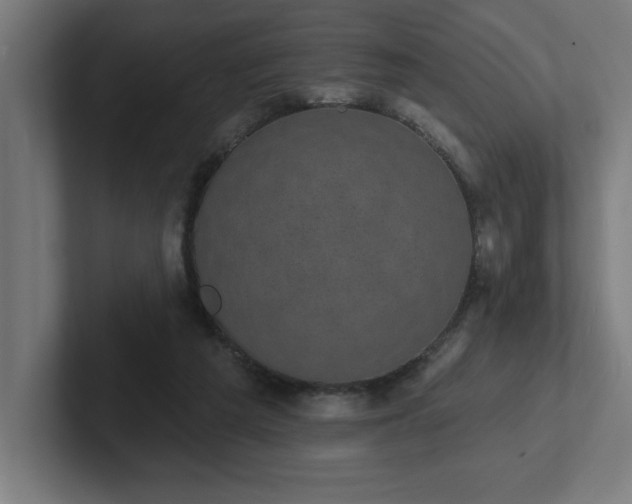 X0000102410209200808011615