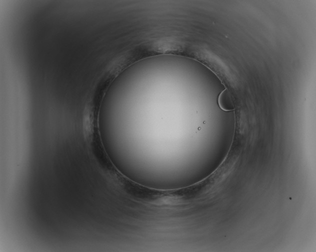 X0000102410210200808011615