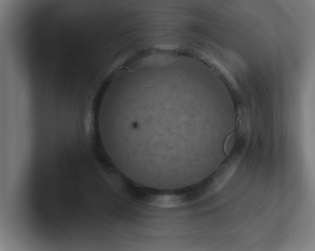 X0000102410212200808011615