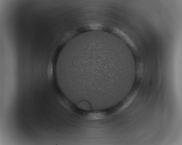 X0000102410213200808011615