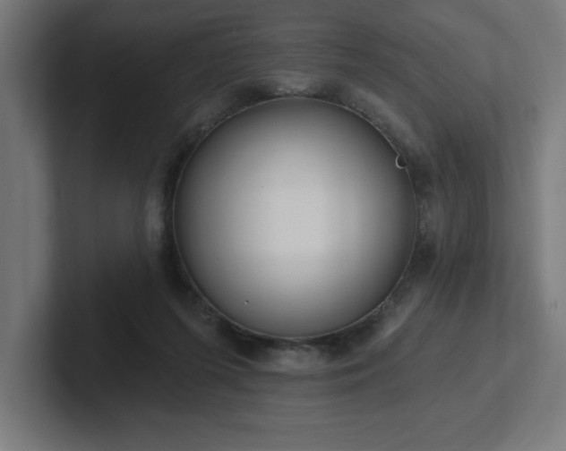 X0000102410215200808011614