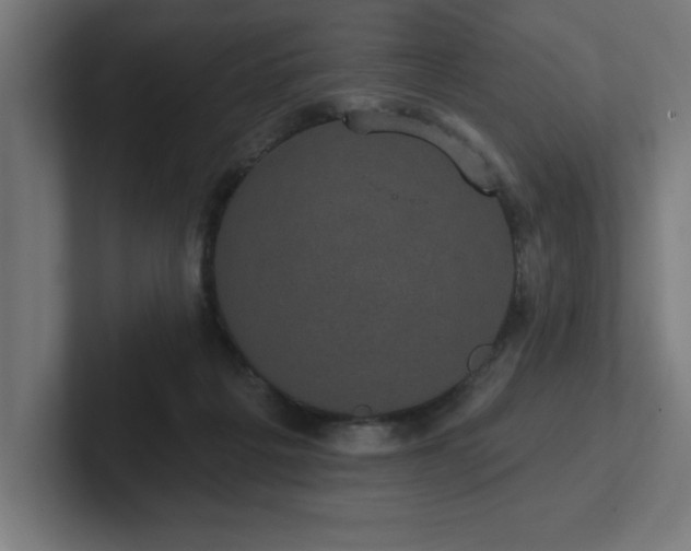 X0000102410217200808011614