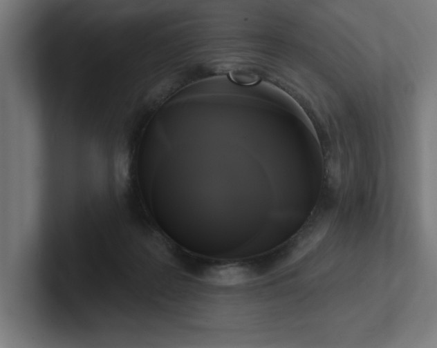 X0000102410219200808011614