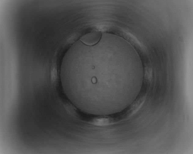 X0000102410220200808011614