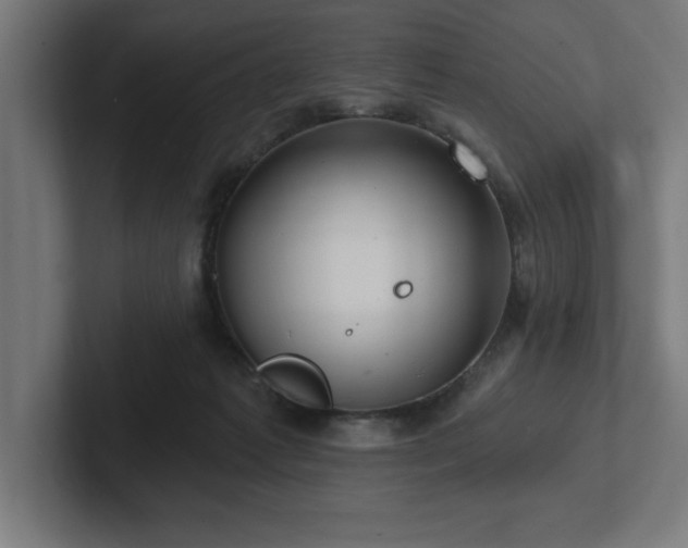 X0000102410221200808011614