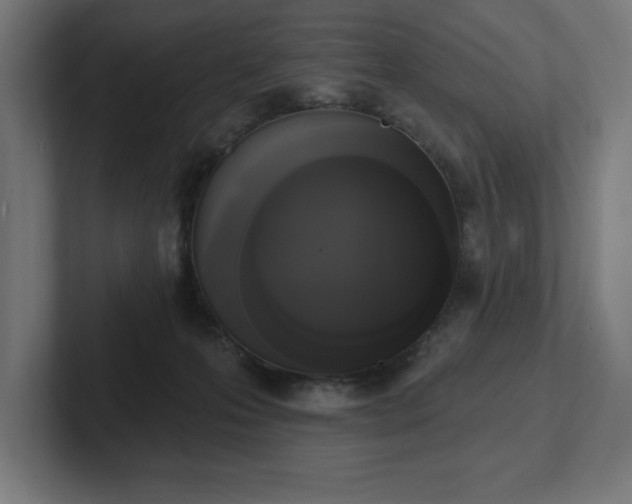 X0000102410223200808011614