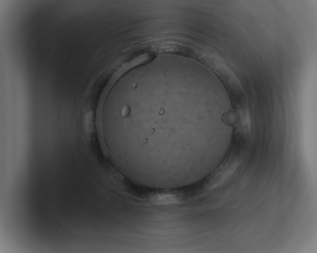 X0000102410224200808011614