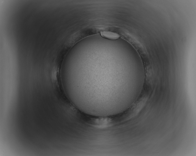 X0000102410225200808011614