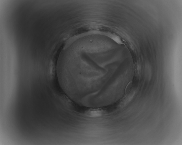 X0000102410228200808011614