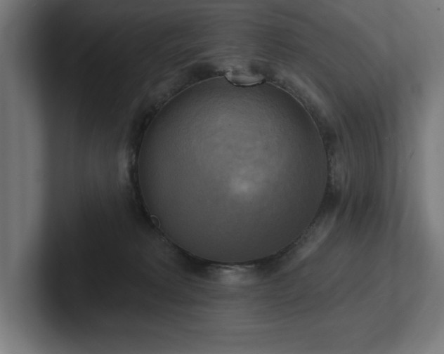 X0000102410229200808011614