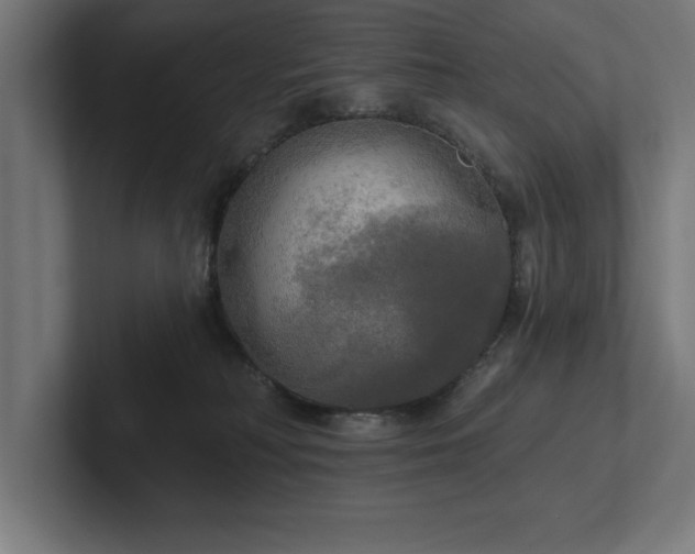 X0000102410230200808011614