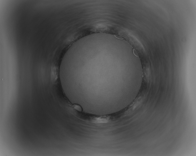 X0000102410232200808011614