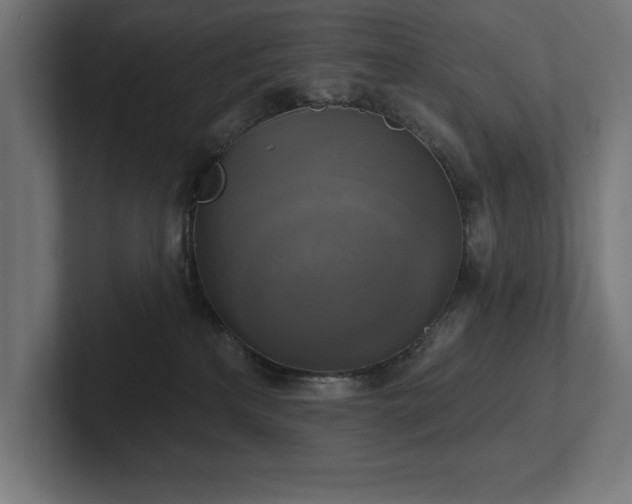 X0000102410233200808011614