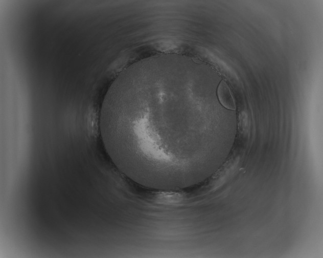 X0000102410234200808011614